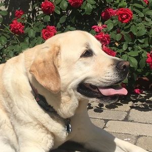 Meet your Posher, Michelle